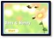 Bees and Honey icon